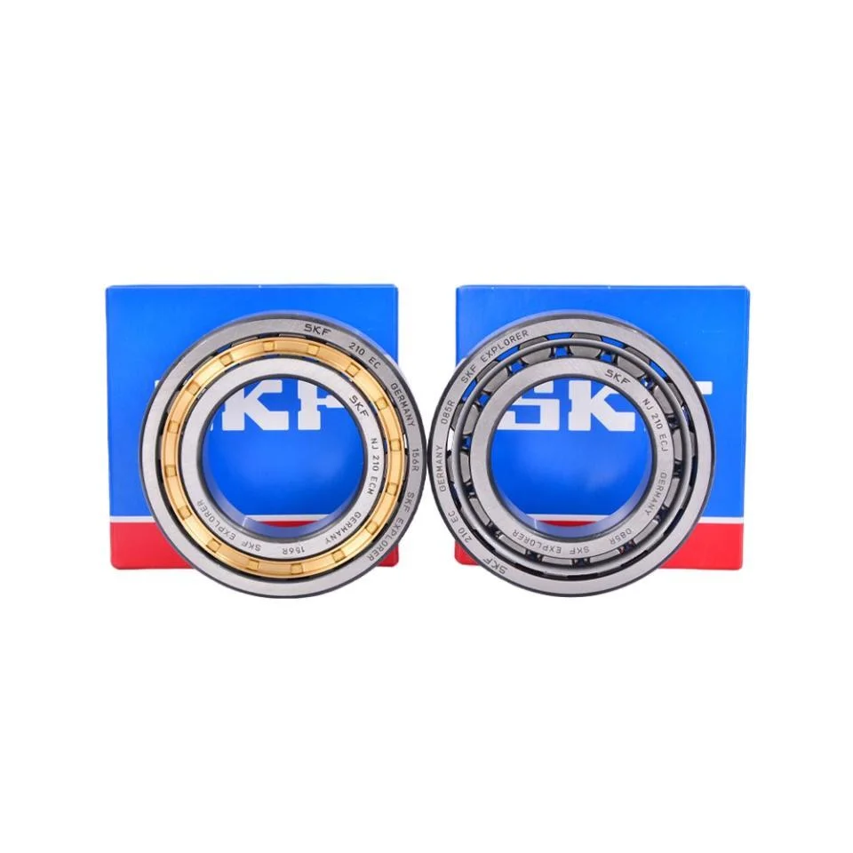 Roller Bearingskfnu304 Ecp/C3//Cylindrical Roller Bearing/Rolling Bearing/Ball Bearing